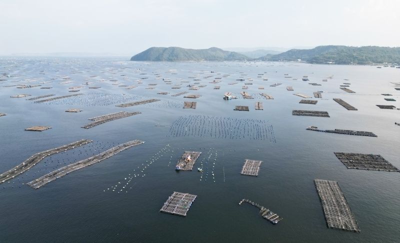 Designing bespoke incentive policies to accelerate the development of the marine economy.