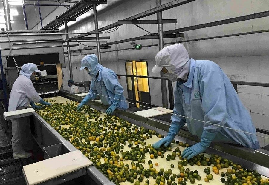 The health supplement industry's shift from traditional processing to deep processing marks its biggest change.