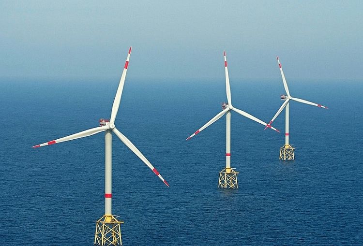 Cà Mau đón dự án điện gió hơn 6.320 tỷ đồng, bổ sung 100MW cho hệ thống điện quốc gia