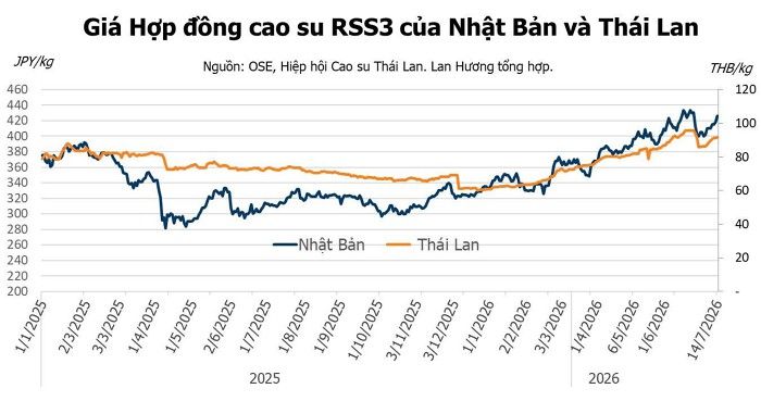 Giá cao su hôm nay 15/7: Đi lên khi giá dầu chạm đỉnh 4 tuần và nguồn cung thắt chặt