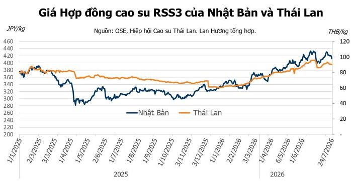 Giá cao su hôm nay 25/7: Đồng loạt giảm khi nhu cầu yếu