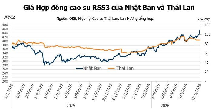 Giá cao su hôm nay 14/8: Thị trường thế giới khởi sắc theo đà tăng của giá dầu mỏ