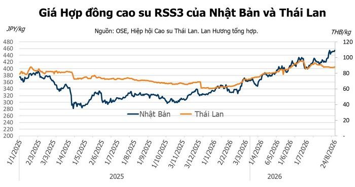 Giá cao su hôm nay 24/8: Tăng khi nguồn cung toàn cầu tiếp tục thiếu hụt