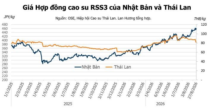 Giá cao su hôm nay 28/8: Tăng khi nguồn cung cao su thiên nhiên Đông Nam Á thắt chặt