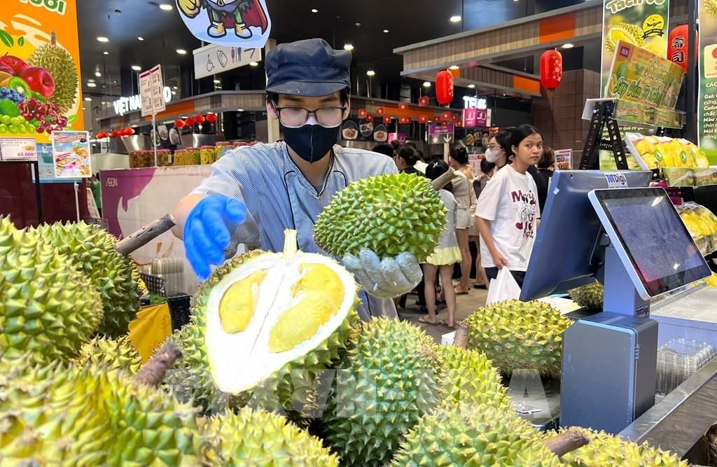 Giá sầu riêng ngày hôm nay 24/9: Đắk Lắk giảm giá, sầu Thái A cơm chuẩn còn 95.000 đồng/kg