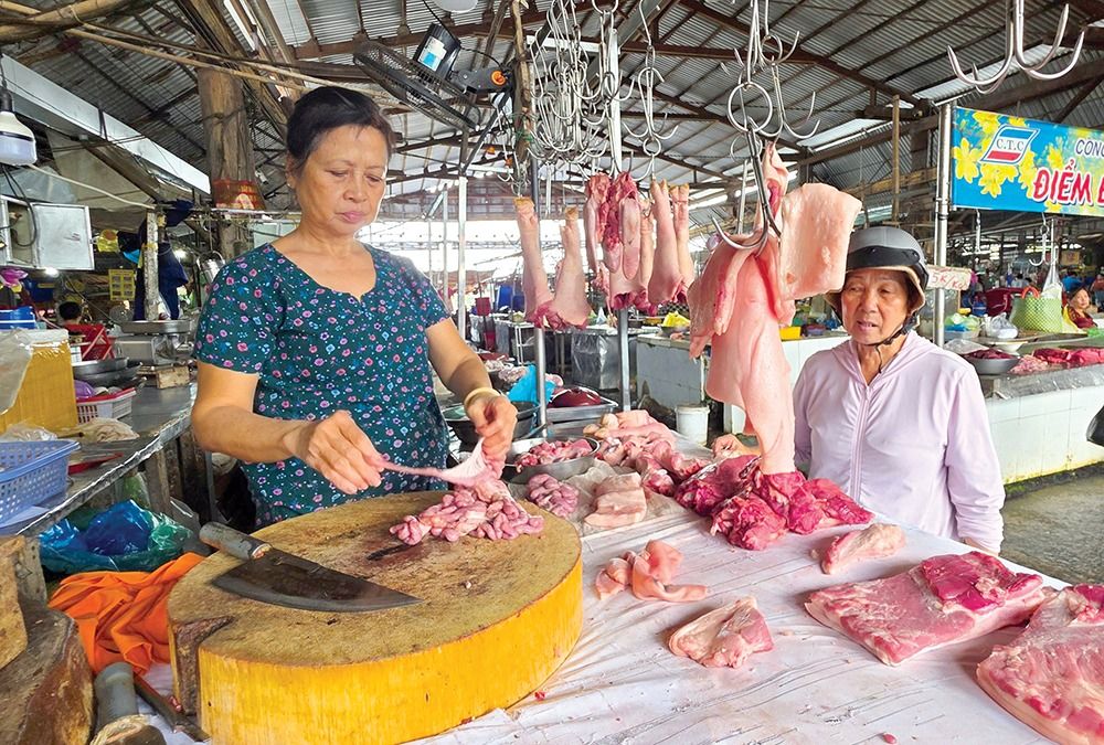 Giá heo hơi hôm nay 7/9/2026: 4 địa phương miền Bắc trở lại mốc 60.000 đồng/kg