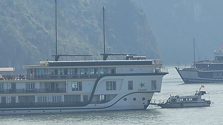 Chủ tàu du lịch ở Cát Bà bị phạt 70 triệu đồng vì sử dụng trái phép thiết bị Starlink vệ tinh