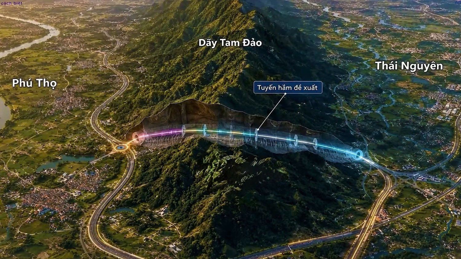 7A51_ham-tam-dao.jpg