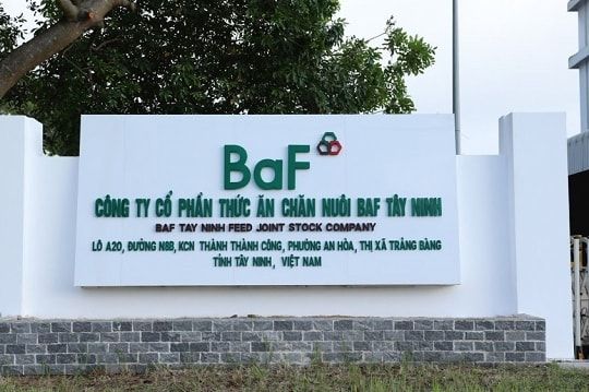 BAF.jpg