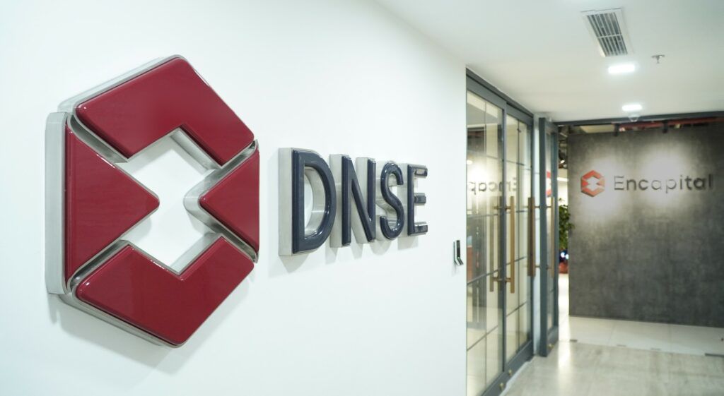 DNSE.jpg