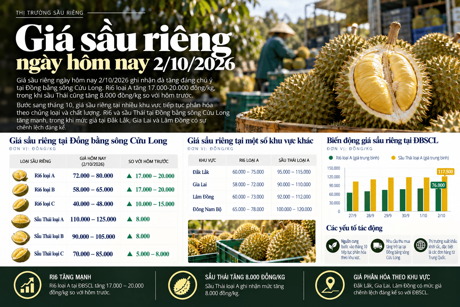 Durian Market Price Report Infographic.png