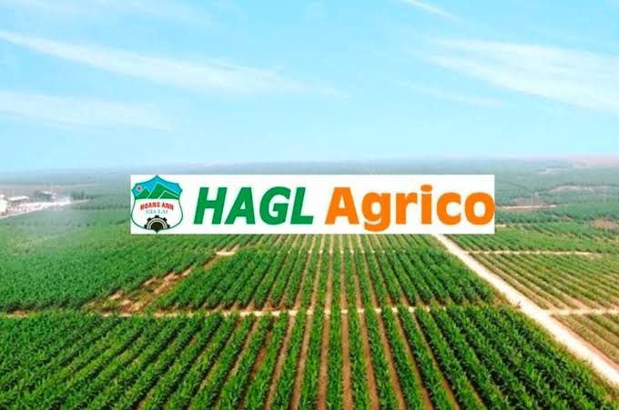 Doanh nghiệp do bầu Đức sáng lập sáp nhập hai công ty con tại Lào