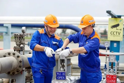Hóa dầu Petrolimex.webp