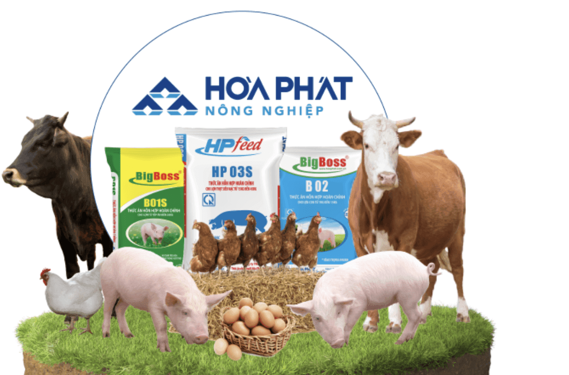 Nông nghiệp Hòa Phát lãi 648 tỷ đồng sau 6 tháng, hoàn thành 64% kế hoạch năm