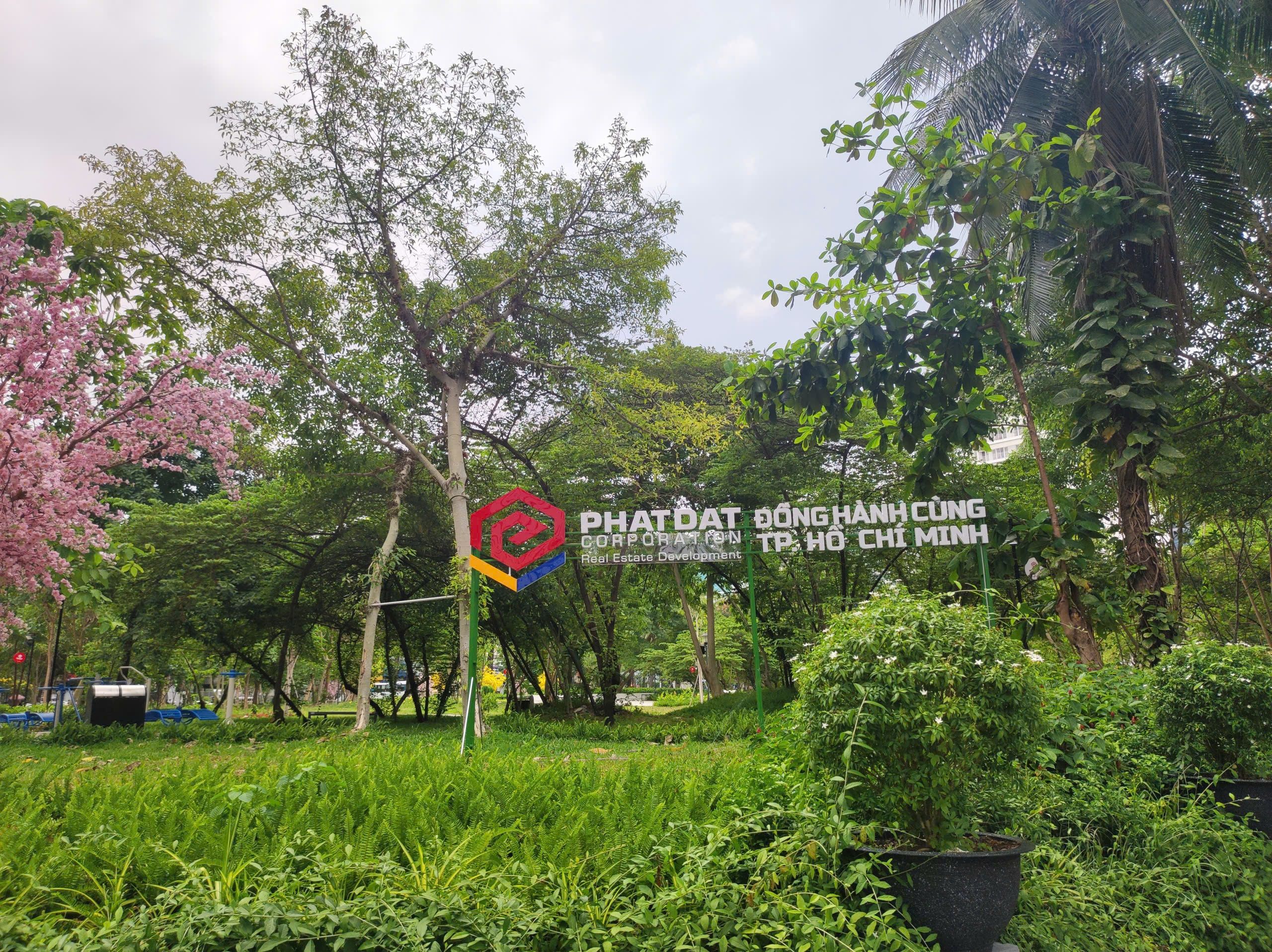 Phat Dat outlines BT project strategy amid major urban-infrastructure opportunities