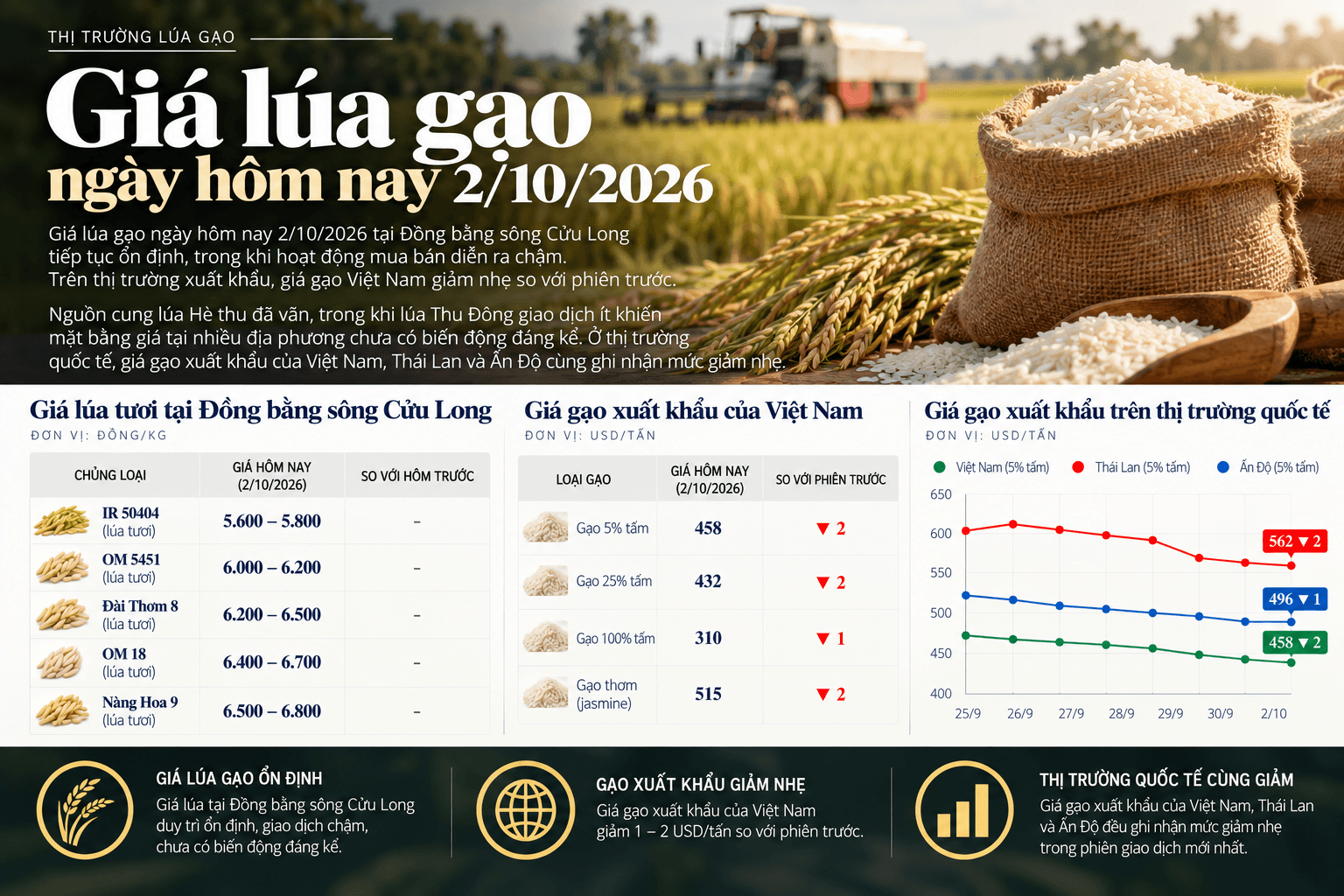 Rice Market Price Infographic.png