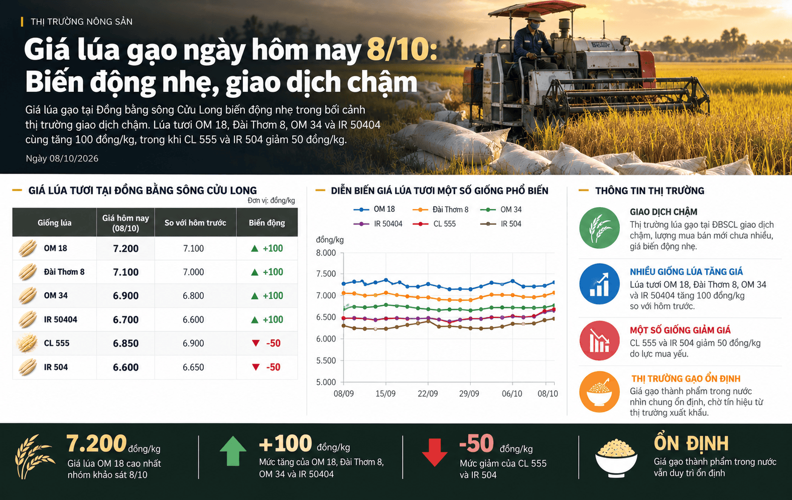 Rice Market Price Update Infographic.png
