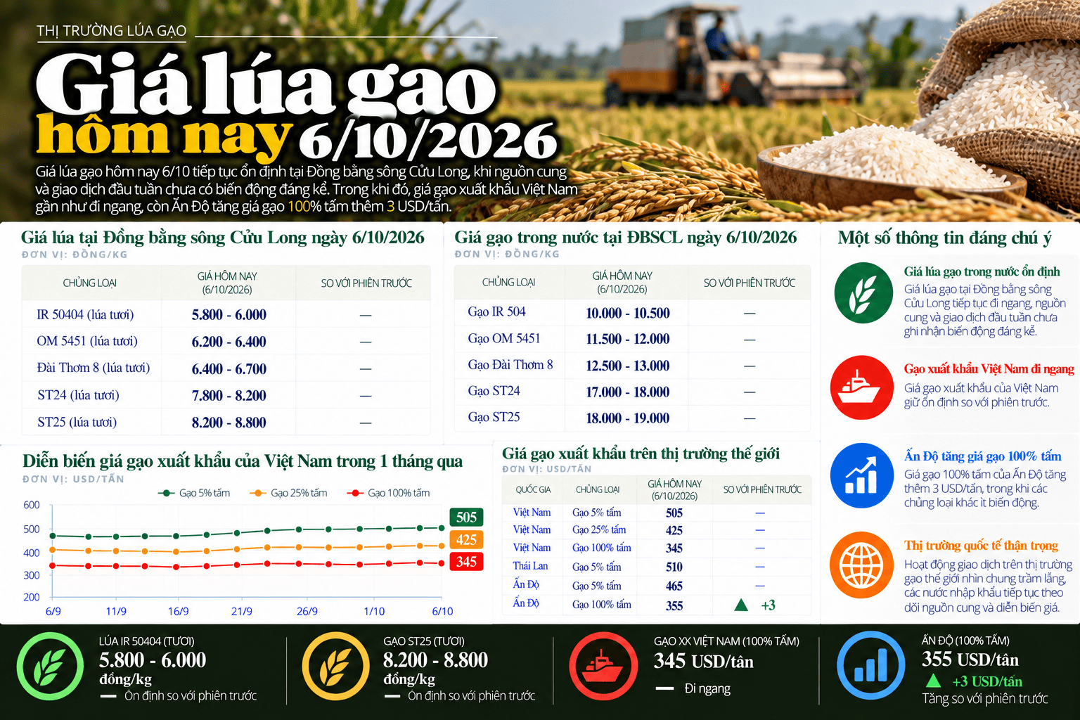 Rice Market Prices_ October 6, 2026.png