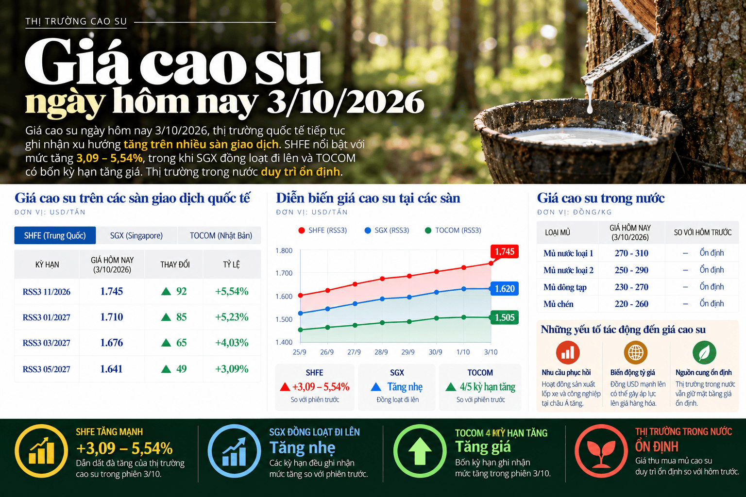 Rubber Market Prices Infographic.png