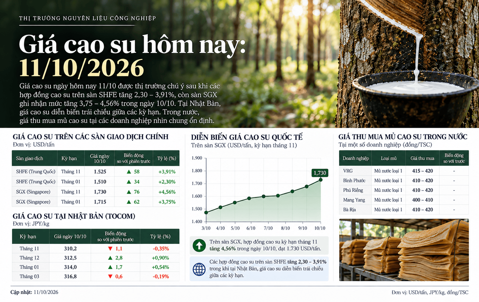 Rubber Market Report_ October 11, 2026.png