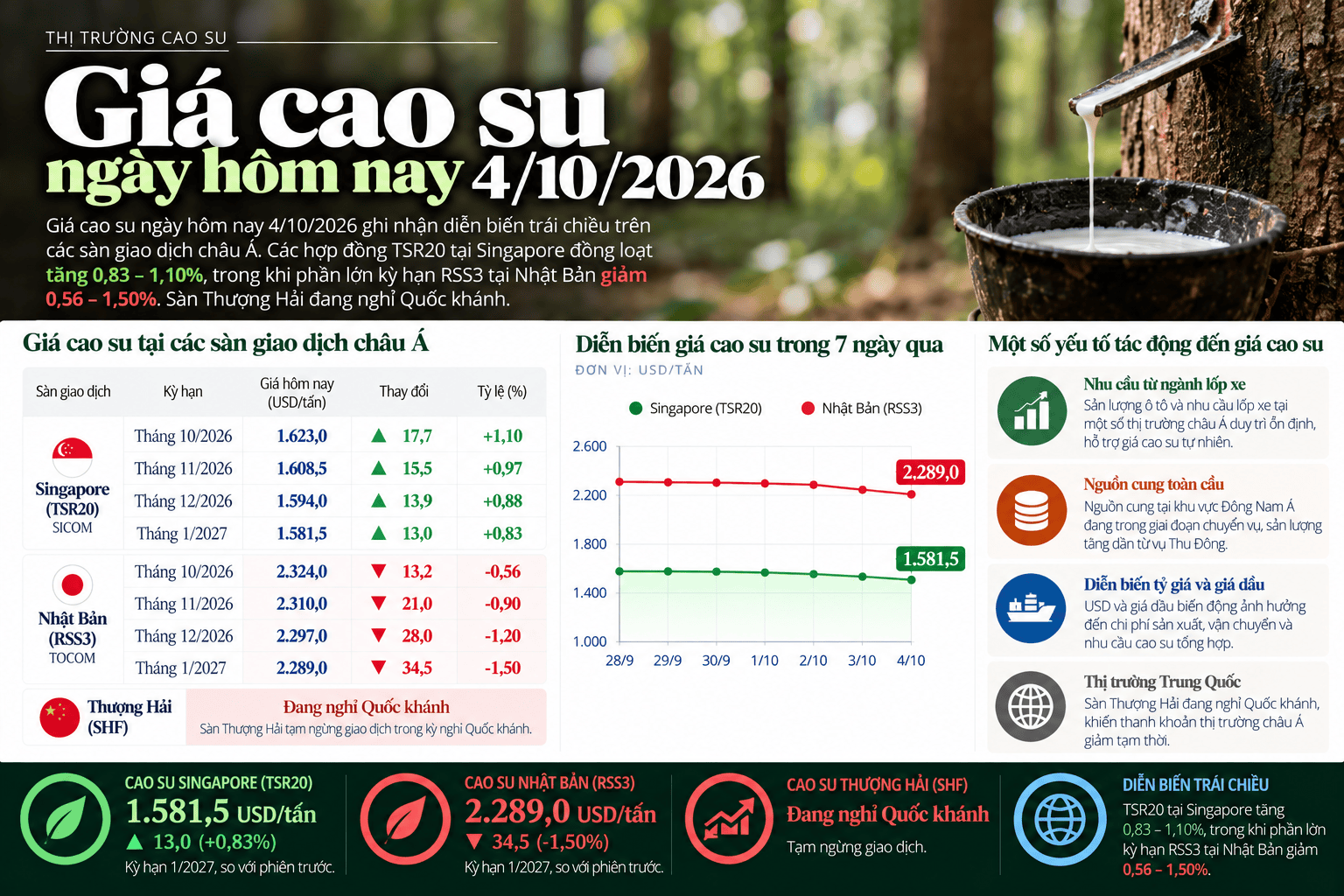 Rubber Market Update Infographic.png