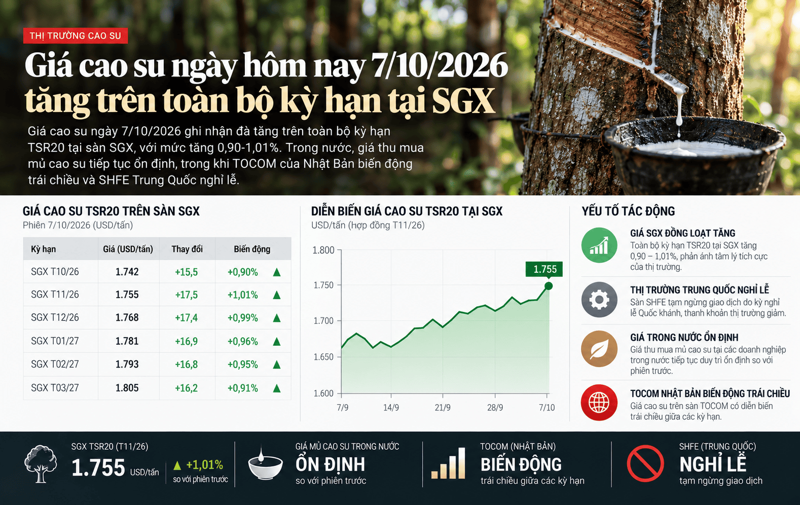 Rubber Prices Rise Across SGX.png