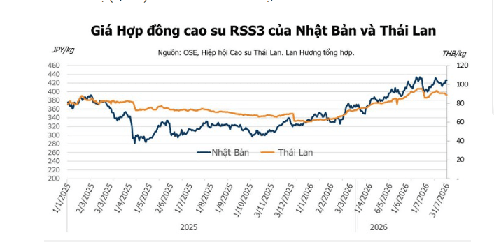 Giá cao su hôm nay 1/8: Nhật Bản, Trung Quốc tăng khi đồng yên yếu và chứng khoán khởi sắc
