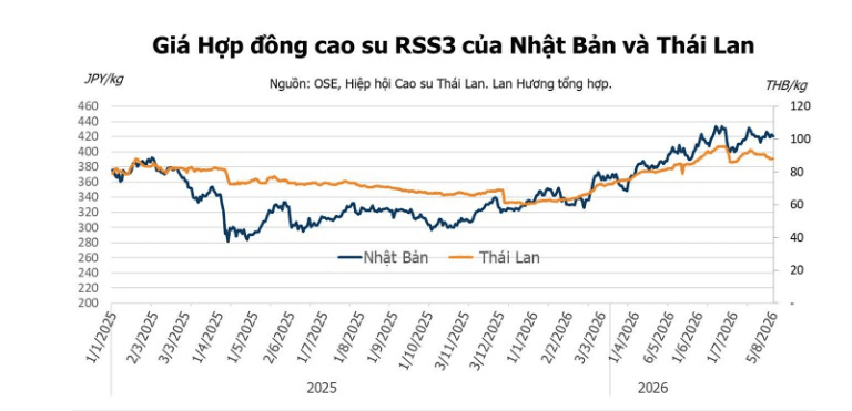 Giá cao su hôm nay 6/8: Nhật Bản biến động nhẹ khi lo ngại nguồn cung tăng gây sức ép thị trường