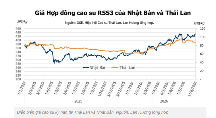 Giá cao su hôm nay 12/8: Trung Quốc, Malaysia đi lên theo giá dầu