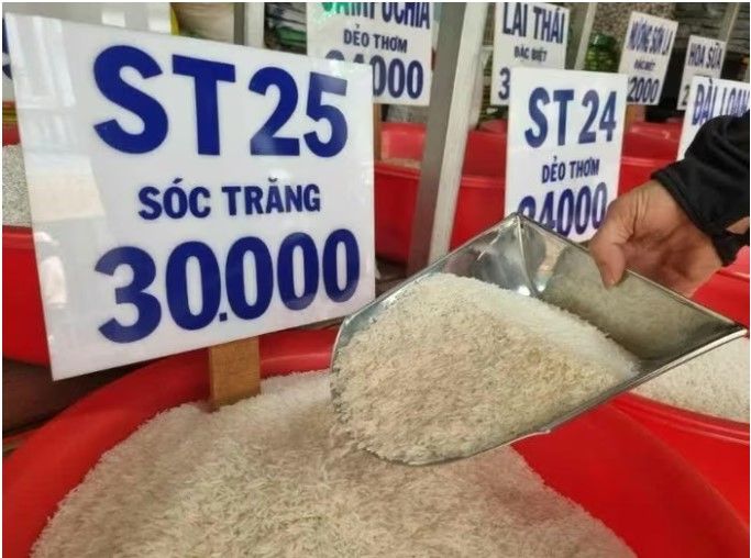 Ngày 20/9: Giá gạo nguyên liệu xuất khẩu giảm, lúa ổn định