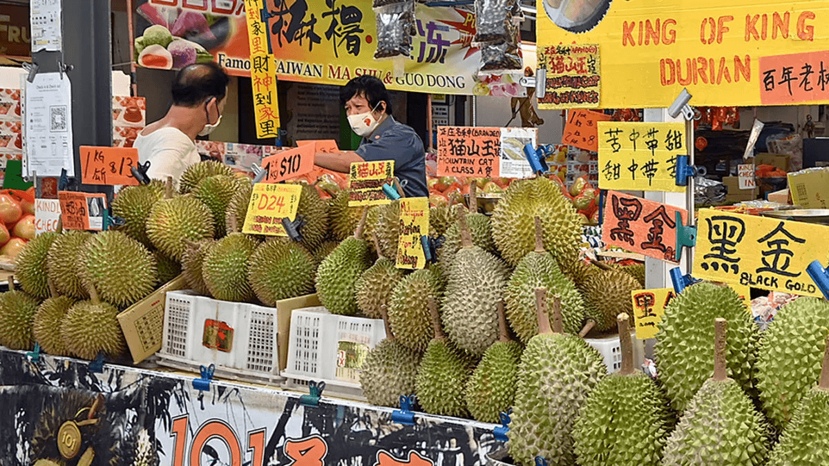 Giá Musang King giảm chưa từng có, thị trường sầu riêng Malaysia biến động mạnh