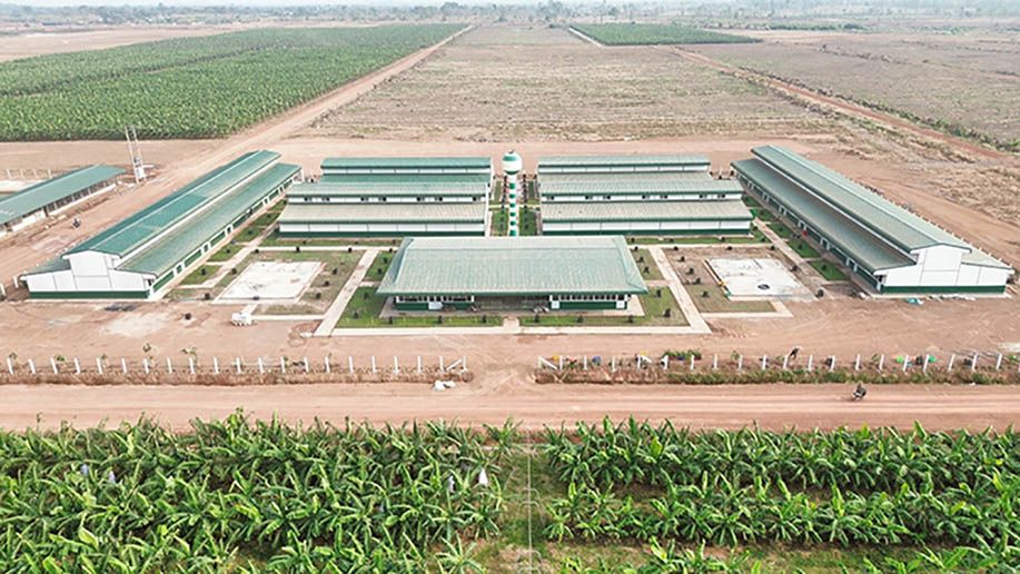 THACO AGRI đề xuất đầu tư 7.500 tỷ đồng phát triển vùng lúa công nghệ cao tại Hưng Yên