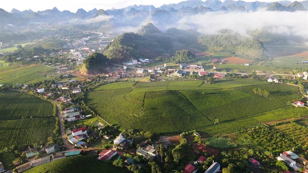 Ecopark Hải Dương đề xuất làm dự án bất động sản ở Mộc Châu