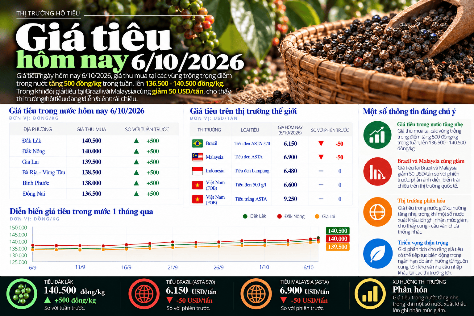Vietnam Pepper Price Market Infographic.png
