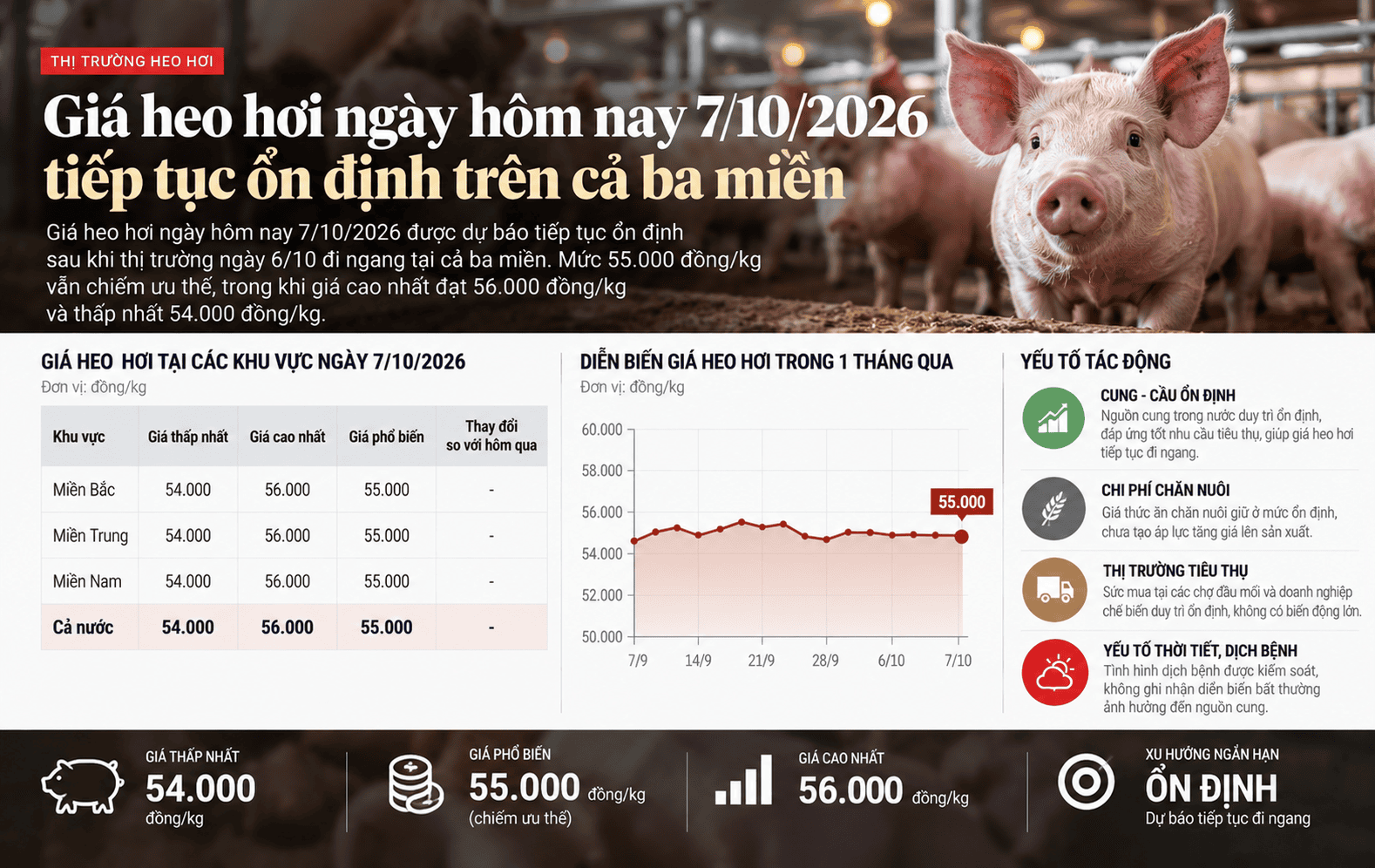 Vietnam Pork Prices Hold Steady Across Regions.png