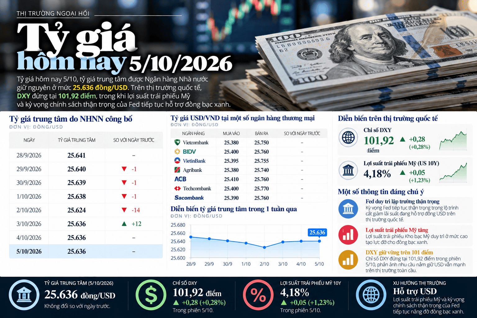 Vietnamese Exchange Rate Market Infographic.png