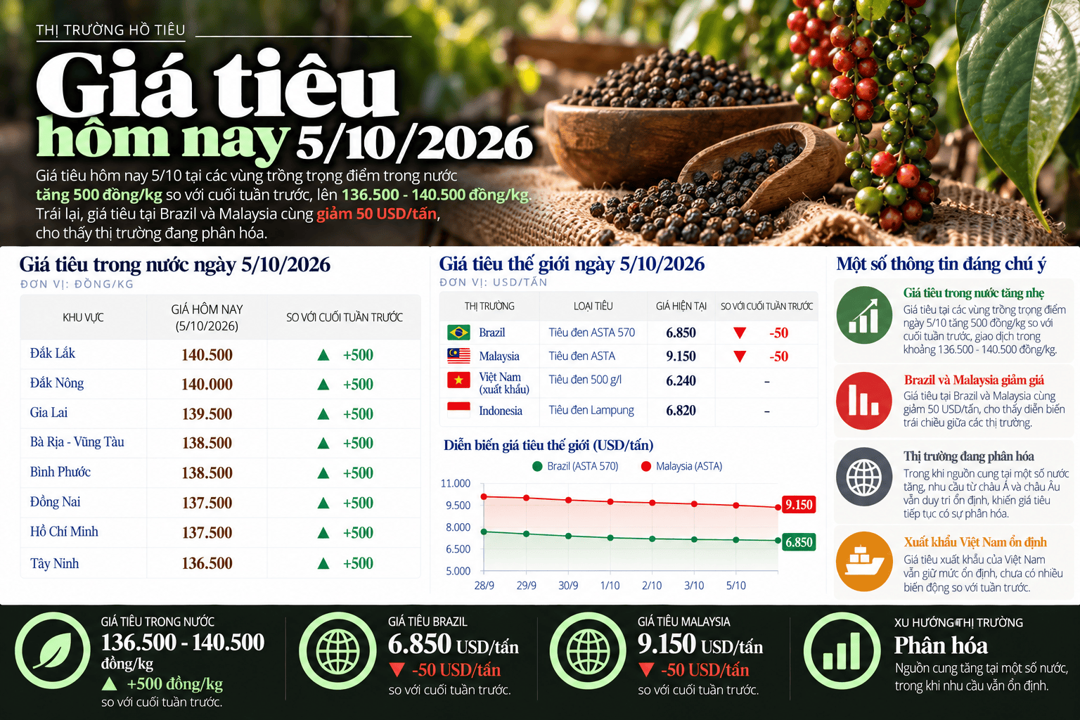 Vietnamese Pepper Market Price Infographic.png