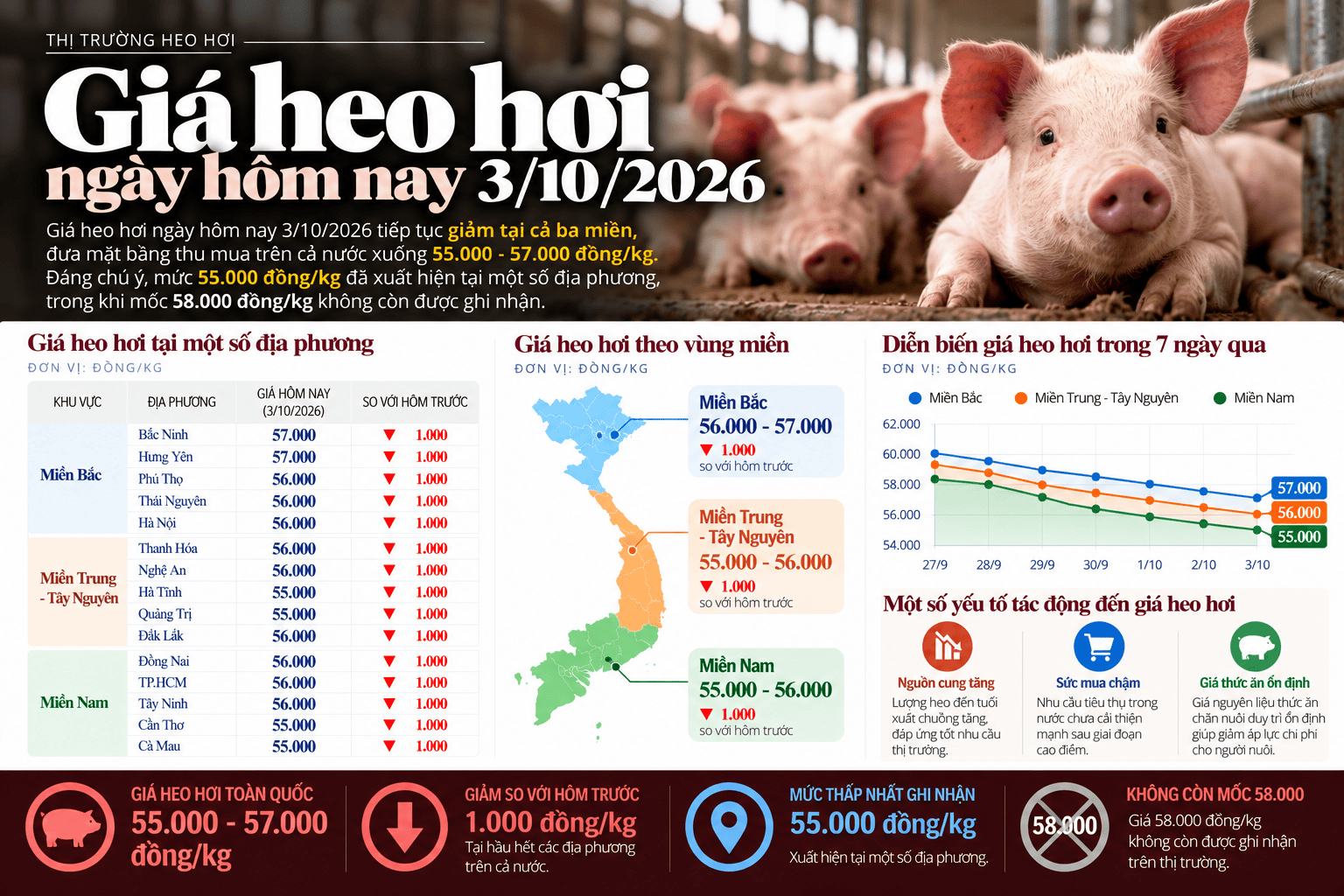Vietnamese Pig Price Market Infographic.png