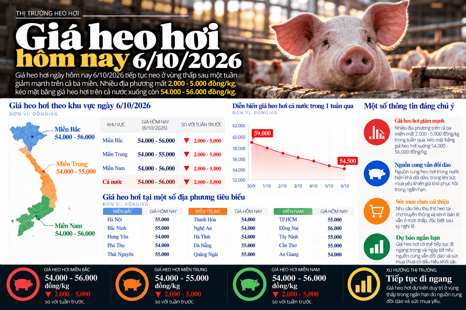 Vietnamese Pig Price Market Infographic.png