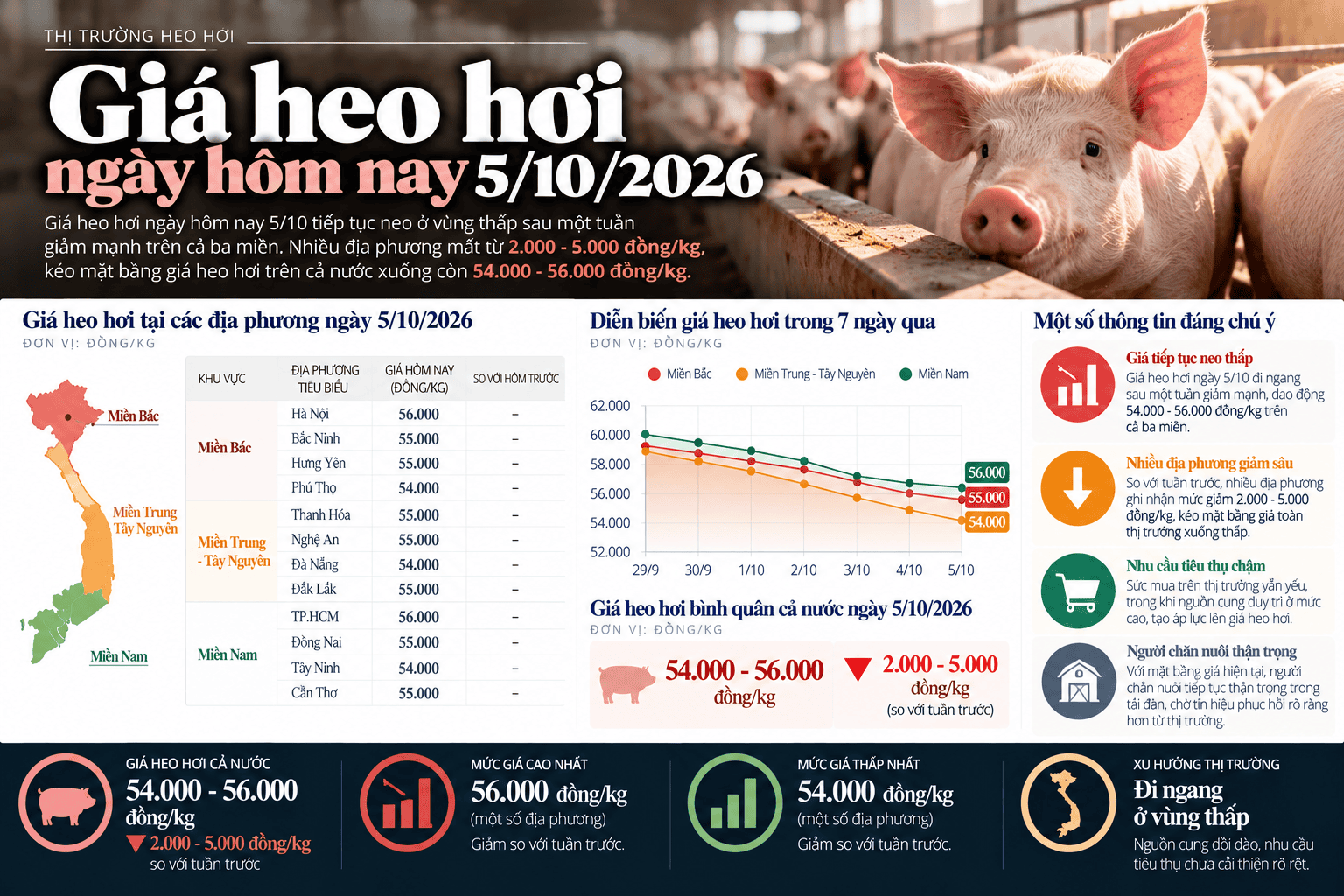Vietnamese Pork Price Market Infographic.png