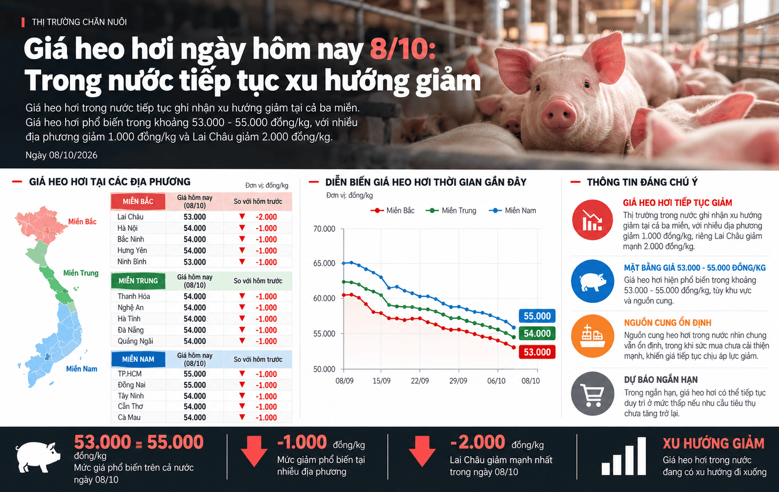 Vietnamese Pork Price Trends Infographic.png