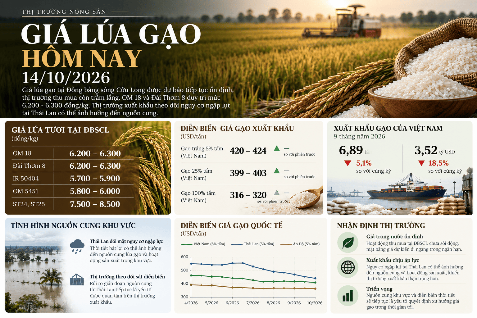 Vietnamese Rice Market Infographic.png