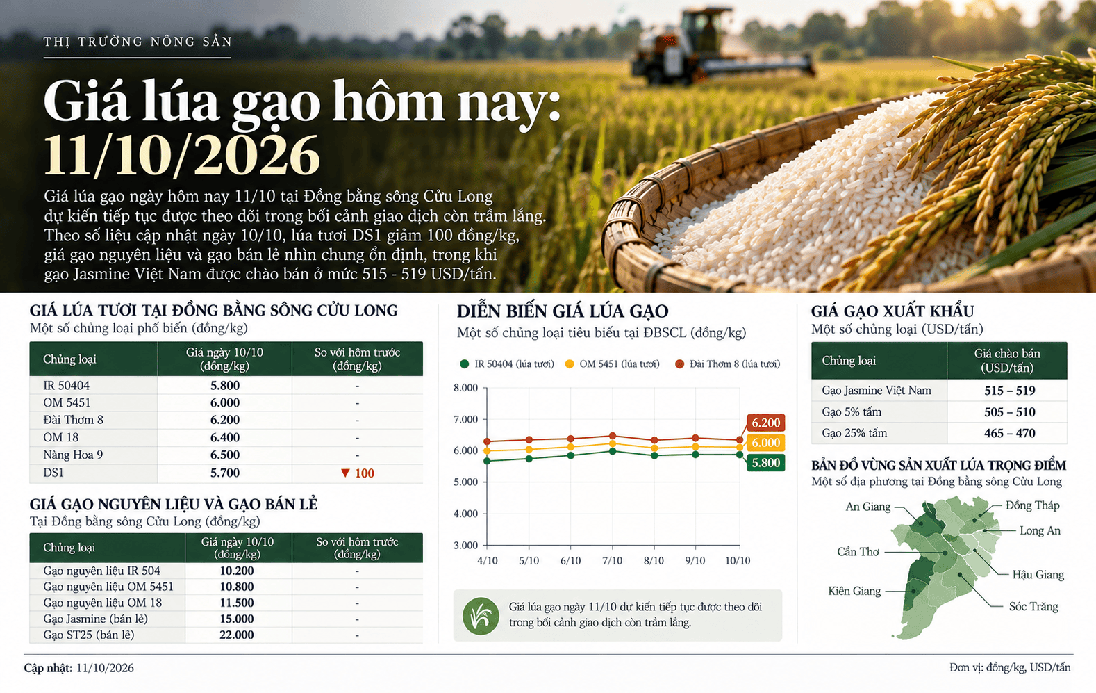 Vietnamese Rice Market Report 11_10_2026.png