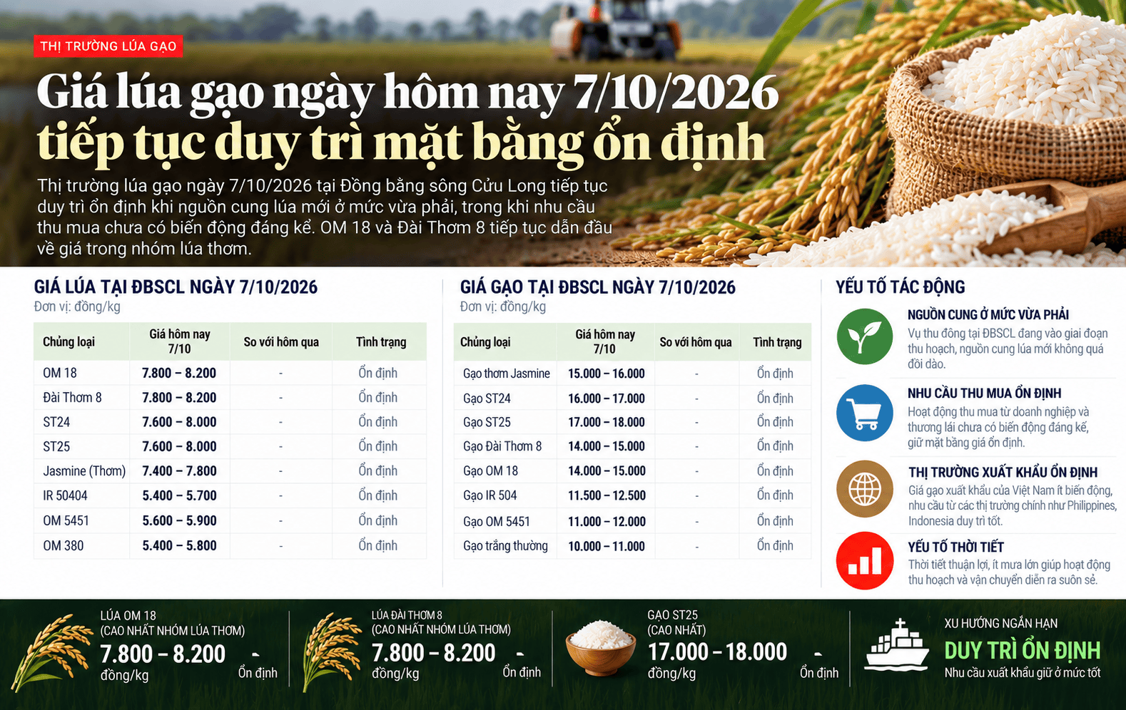 Vietnamese Rice Market Report_ Stable Prices.png