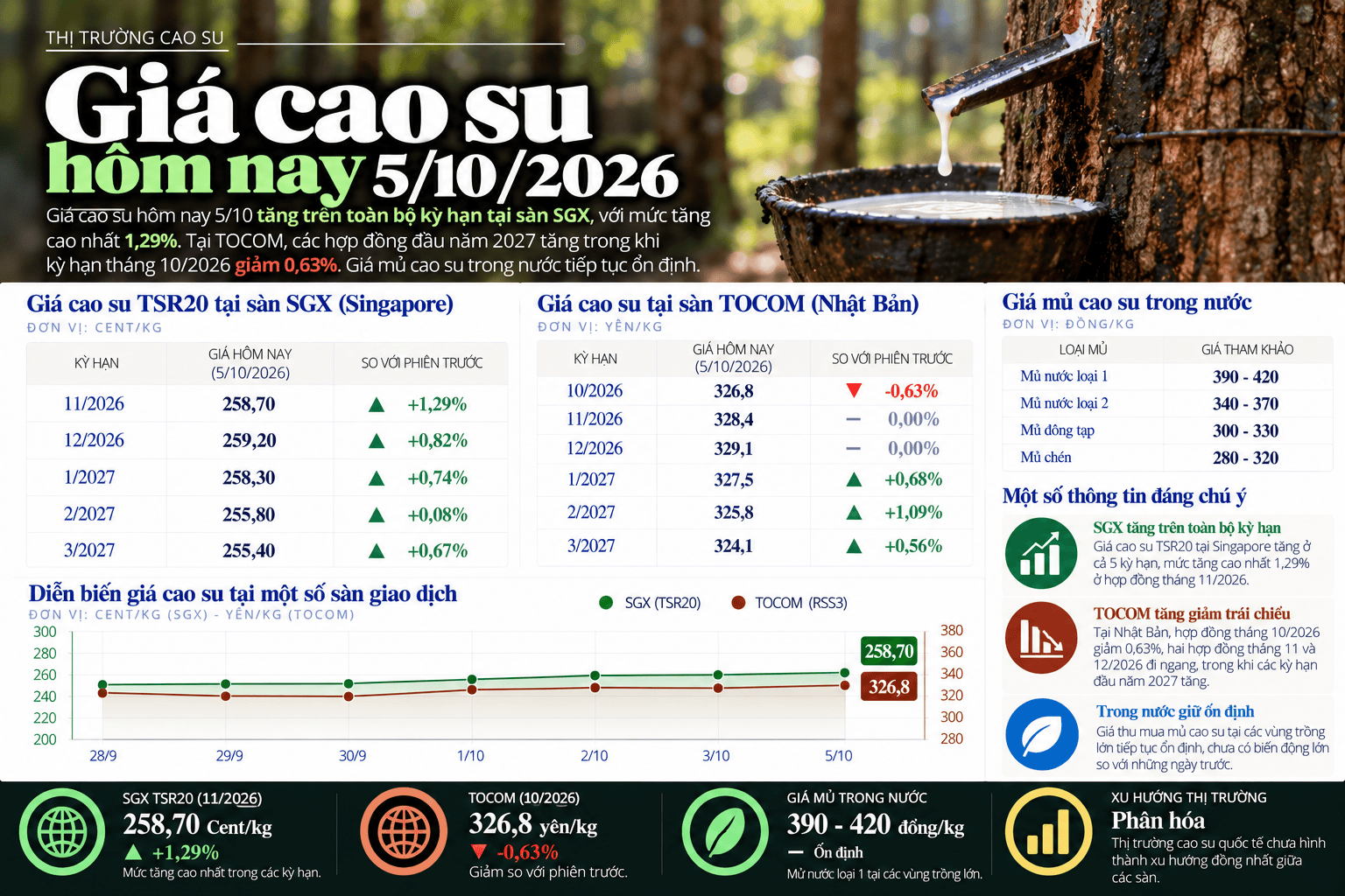 Vietnamese Rubber Market Infographic.png