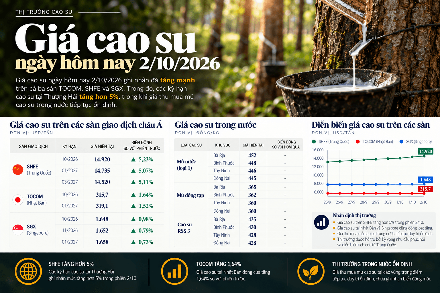 Vietnamese Rubber Market Infographic.png