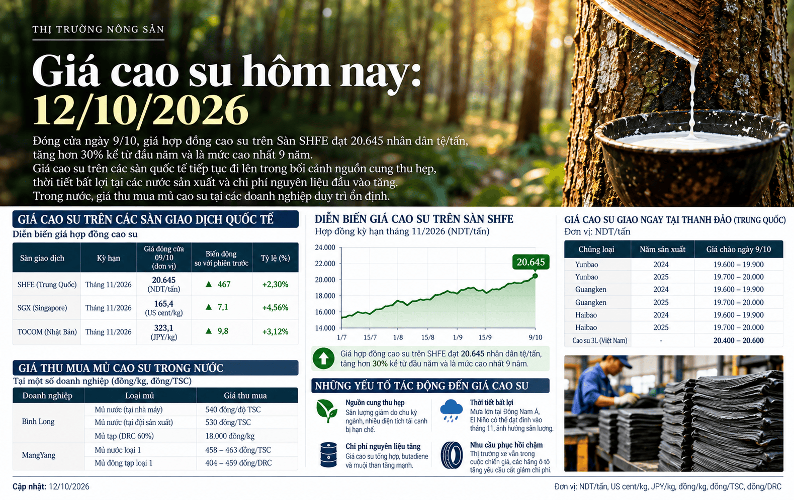 Vietnamese Rubber Price Market Report.png