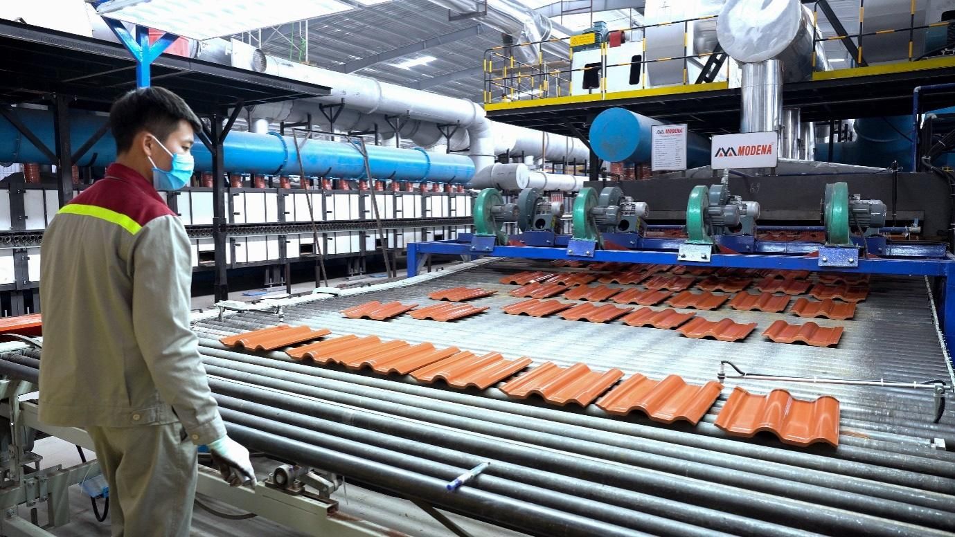 AMY GRUPO trước thềm IPO: Cơ cấu sở hữu có nhiều điểm đáng chú ý