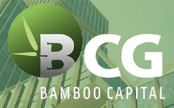 Cổ phiếu BCG, BCR, DAN và DVT sắp rời UPCoM trong tháng 8