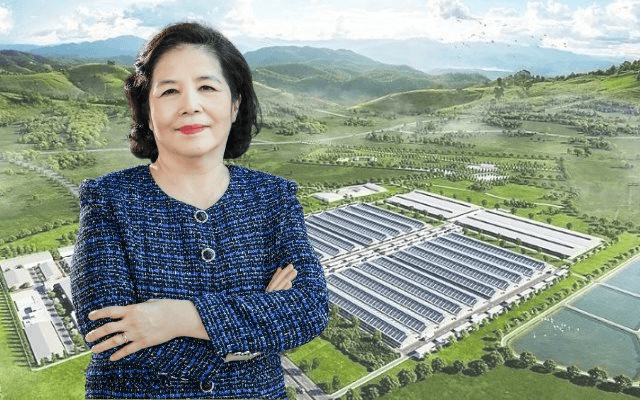 Gần 1.200 tỷ đồng được kỳ vọng sau văn bản vừa ký của bà Mai Kiều Liên